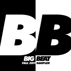 Big Beat Fall Sampler 2011 by Various Artists album reviews, ratings, credits