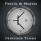 Precious Times (Discodyne & Flugschreiber Remix) - Ferrin & Morris lyrics