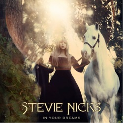 Stevie Nicks - Secret Love