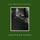 Another Pond (Bonus Track Version) artwork
