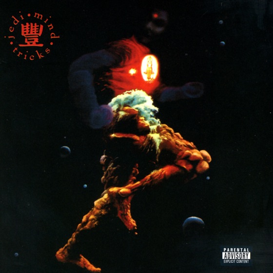Cover artwork for The Immaculate Conception