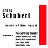 The Pascal String Quartet - Franz Schubert: Quartet in A Minor Opus 29: 2nd Movement – Andante