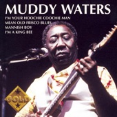 Muddy Waters - Deep Down In Florida (Live)