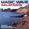 Galapagos (DJ Shah & Ralph Fritsch Tribute Mix) - Magic Wave lyrics