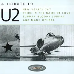 A Tribute To U2 - The Coverbeats A Tribute To U2 - The Coverbeats