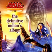 The Definitive Indians Album artwork