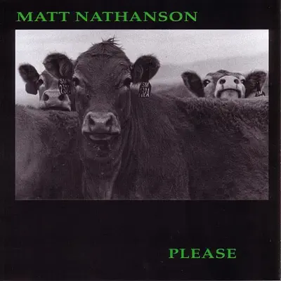 Please - Matt Nathanson