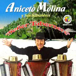Señor Tabernero - Aniceto Molina