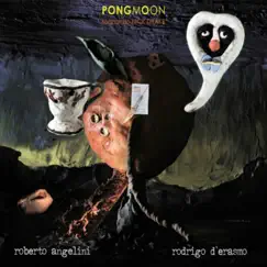 Pongmoon Sognando Nick Drake by Roberto Angelini & Rodrigo d'Erasmo album reviews, ratings, credits