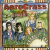 The Grassmasters - Janie's Got a Gun