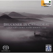 Bruckner In Cathedral artwork