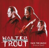 Walter Trout - Tired Of Sleeping Alone