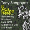 Tony Senghore - If You Came Here (Malente & Dex Remix)
