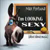 I'm Looking Sexy (About Dance Music) album lyrics, reviews, download