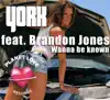 Wanna Be Known (feat. Brandon Jones) - EP album lyrics, reviews, download