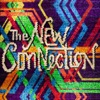 The New Connection