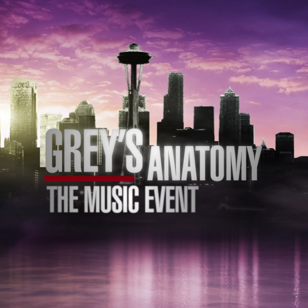 Image result for greys musical episode