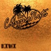 The CalypsoNuts - Too Late For Goodbyes