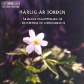 Grip Du Mig, Helige Ande (arr. J. Kuusisto) artwork