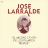 El Alegre Canto de los Pajaros