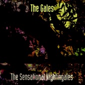 The Sensational Nightingales - Love One for Another