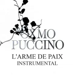 L'arme de paix (Version instrumentale) - Oxmo Puccino