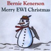 Merry EWI Christmas