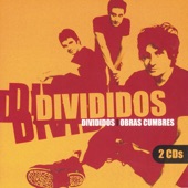 Obras Cumbres: Divididos artwork