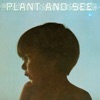 Plant and See