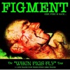 Figment - What's It Going to Be?