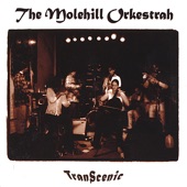 The Molehill Orkestrah - Kapios Klay