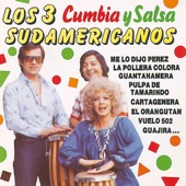 Cumbia y Salsa artwork