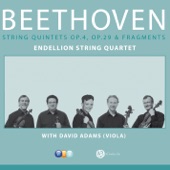 Beethoven: Complete String Quintets artwork