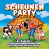 Scheunenparty (Coverversions)