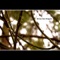 Another Planet (feat. Marcus Johnson) - Matthew Shell lyrics