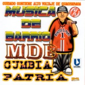 Cumbia De Los Pajaritos artwork