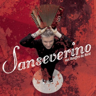Sanseverino aux Bouffes du Nord - Sanseverino