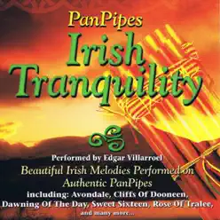 Panpipes - Irish Tranquility - Edgar Villarroel Panpipes - Irish Tranquility - Edgar Villarroel