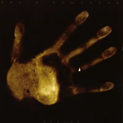Devlab - Devin Townsend Devlab - Devin Townsend