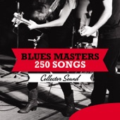 Blues Masters 250 Songs (Collector Sound) artwork