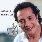 Fi Alb El Lail artwork