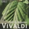The 4 Seasons: Violin Concerto In G Minor, Op. 8, No. 2, RV 315, "L'estate" (Summer): III. Tempo Impetuoso D'Estate artwork