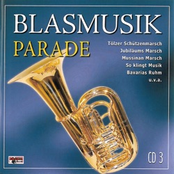 Michael Klostermann U.s. Musikanten - Kronenfest