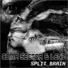 Split Brain