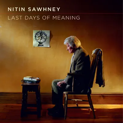 Last Days of Meaning - Nitin Sawhney