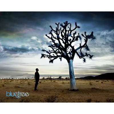 God of this City - Bluetree