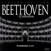 Camerata CassoviaeWalter Attanasi - Symphony No. 8 In F Major Op. 93: Tempo Di Menuetto (Beethoven)