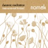 Dynamic Meditation Instrumental Limited