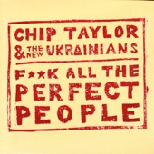 F**k All The Perfect People (feat. The New Ukrainians) artwork