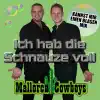 Stream & download Ich hab die Schnauze voll (Kannst mir einen Blasen Mix) - Single